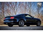 Thumbnail Photo 5 for 2017 Ford Mustang GT